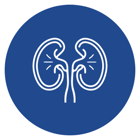 Renal Disease